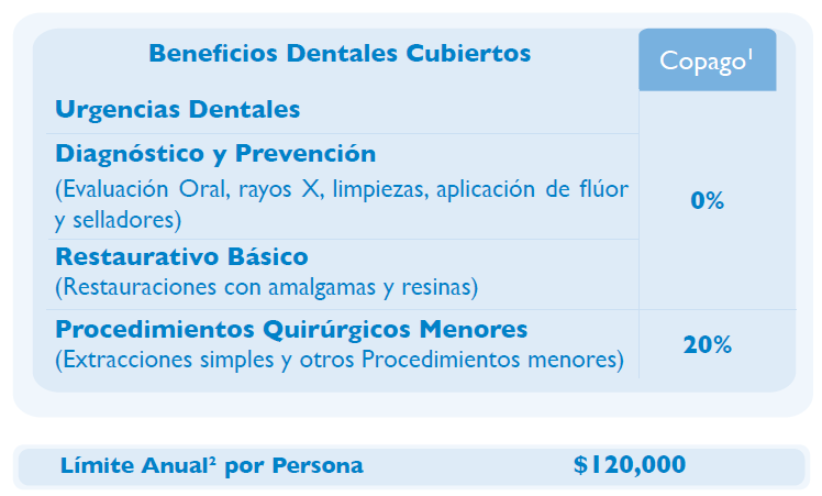 Infografía sobre cobertura dental