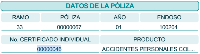 Datos de la pÃ³liza